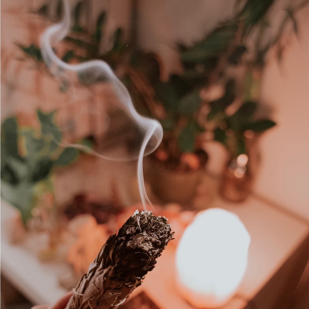 🪴The Power Of Sage🧘🏾‍♂️